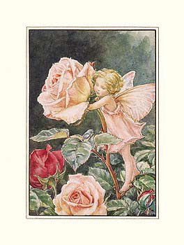 la petite fée